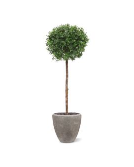 Ilex bol kunstboom op stam 135cm - UV bestendig
