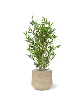 Japanse Bamboe kunstboom 90cm - UV bestendig