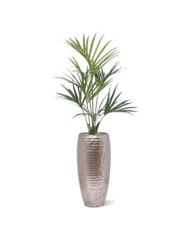 Kentia deluxe kunstpalm 135cm