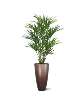 Kentia deluxe kunstpalm XL 190cm