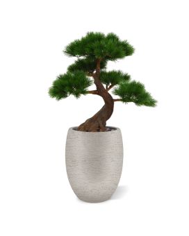 Pinus Bonsai x5 deluxe kunstplant op voet 80cm - UV bestendig