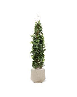 Kunst Hedera Klimplant Deluxe 130cm