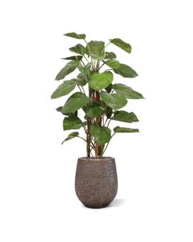 Kunst Pothos Klimplant 125cm Deluxe