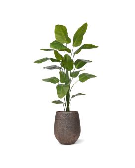 Strelitzia Nicolai kunstplant 210cm