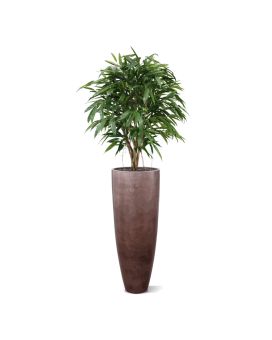 Longifolia XL deluxe kunstboom 120cm