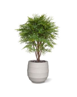 Mimosa kunstplant 110cm - UV bestendig