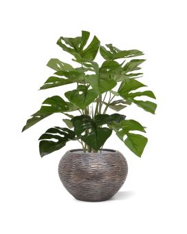 Monstera kunstplant 50cm