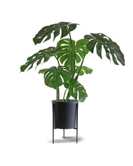 Monstera kunstplant 75cm RT