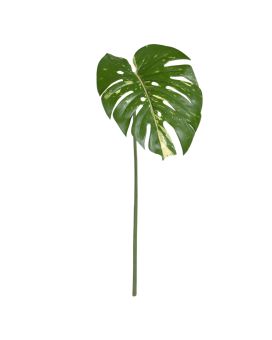Monstera Blad 65cm bont