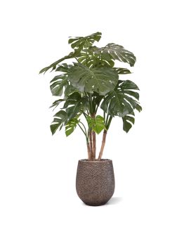 Monstera deluxe kunstboom 140cm