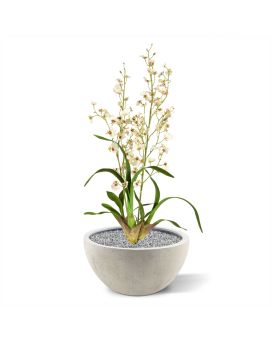 Oncidium deluxe orchidee kunstplant 80cm - creme