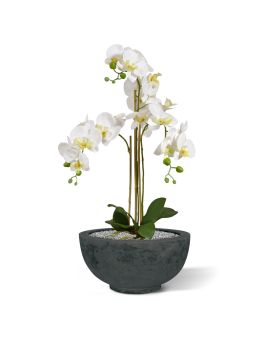 Phalaenopsis kunst Orchidee 75cm wit