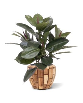 Philodendron Window kunstplant 50cm