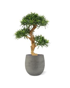 Podocarpus kunstbonsai boom deluxe op voet 65cm