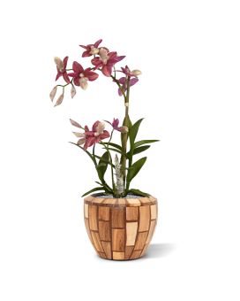 Spider kunst Orchidee burgundy 50cm
