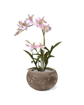 Spider kunst Orchidee 50cm - rose