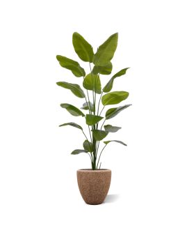 Strelitzia Nicolai kunstplant 225cm