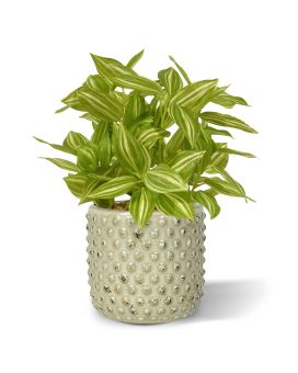 Tradescantia kunstplant 18cm - bont