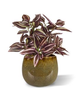 Tradescantia kunstplant 18cm - burgundy