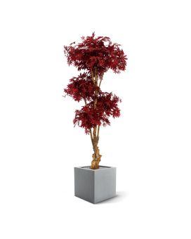 Acer Bonsai deluxe kunstboom 170cm - burgundy