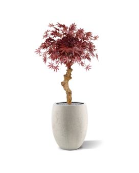 Acer Bonsai kunstboom op stam 85cm - burgundy