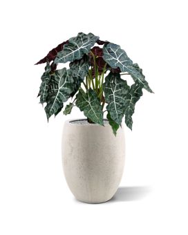Alocasia kunstplant 75cm