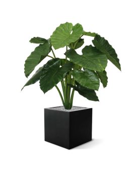 Alocasia Calidora kunstplant 80cm