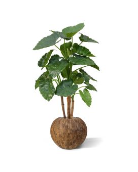Alocasia Calidora deluxe kunstplant 125cm