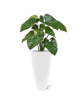 Alocasia Calidora kunstplant 70cm - FR - brandvertragend
