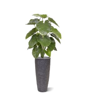 Alocasia Calidora kunstplant 115cm