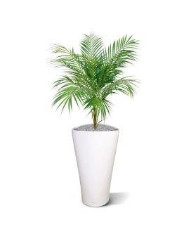 Areca kunstpalm 80cm