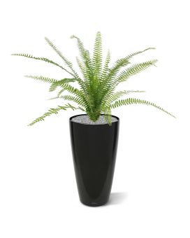 Asplenium Varen kunstplant 75cm