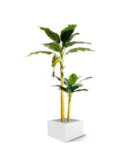 Banaan kunstboom 240cm