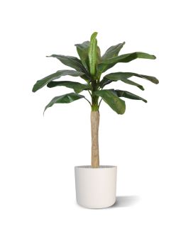 Banaan kunstplant promo 120 cm