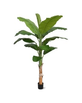 Banaan Royal kunstboom 210cm