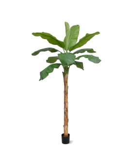 Banaan Royal XL kunstboom 300cm
