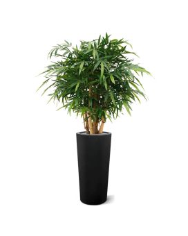 Buddha Bamboe deluxe kunstplant 125cm