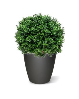 Buxus bal deluxe kunstplant N 60cm - UV bestendig