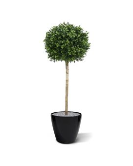 Kunst Buxus bol op stam 110cm - UV bestendig