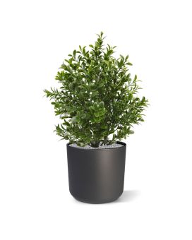 Buxus kunstplant 30cm in pot - UV bestendig