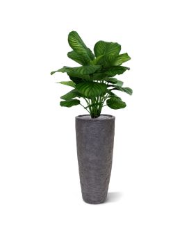 Calathea Fasciata kunstplant 80cm