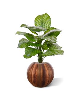 Calathea Fasciata kunstplant 70cm