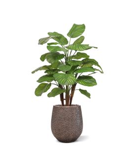 Calathea Fasciata kunstplant Deluxe 110cm