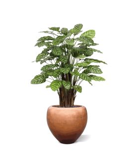 Calathea Makoyana kunstplant Deluxe 115cm