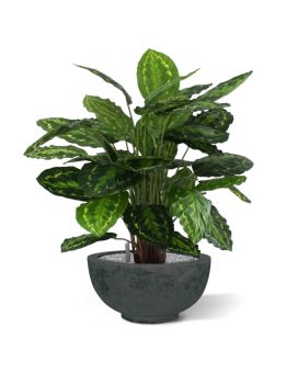Calathea Rosea Picta kunstplant 80cm