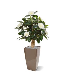 Camelia kunstplant op voet 60cm - creme