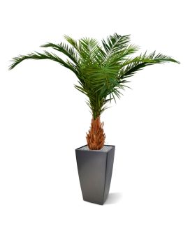 Canarie Phoenix kunstpalm deluxe 210 cm