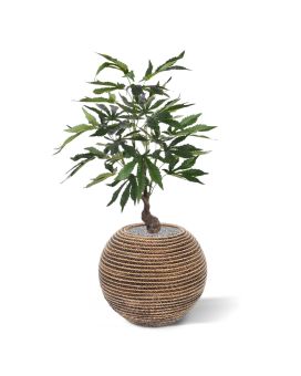 Cannabis kunstplant 60cm