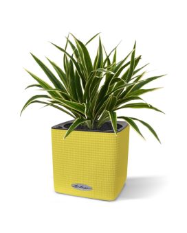 Chlorophytum S kunstplant 30cm in 10cm pot