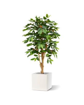 Coffee Arabica kunstplant deluxe 150cm N